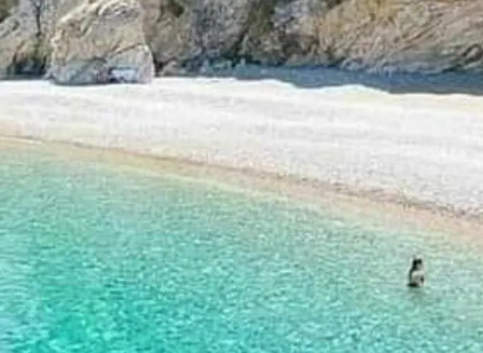 בית אירוח Chalkidiki White Kallithea Kallithea (Chalkidiki)